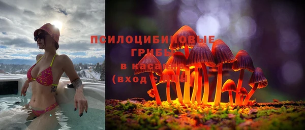 метадон Алексин