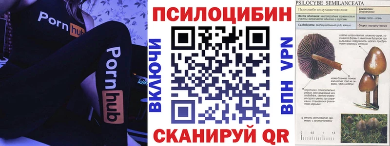 MEGA как зайти  shop официальный сайт  Псилоцибиновые грибы MAGIC MUSHROOMS  купить  сайты  Алушта 